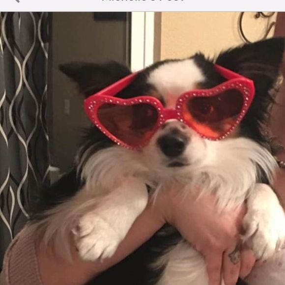 Meet your Posher, Amanda - Picture 1 of 1